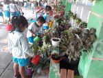 Vườn hoa lớp bé