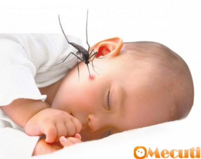 Sốt xuất huyết ở trẻ em: Triệu chứng, biến chứng ít ai biết