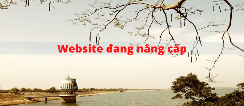 Hình ảnh 2